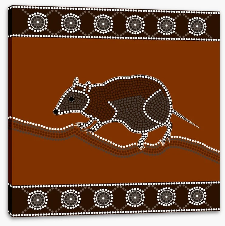 Musky rat-kangaroo - Image 2