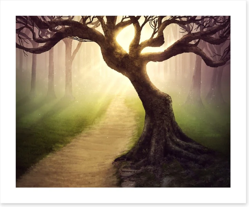 Mystical forest pathway - Image 2