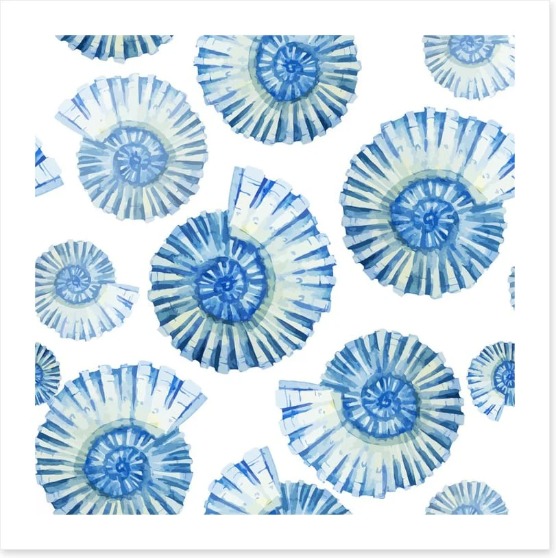 Nautical shells - Image 2