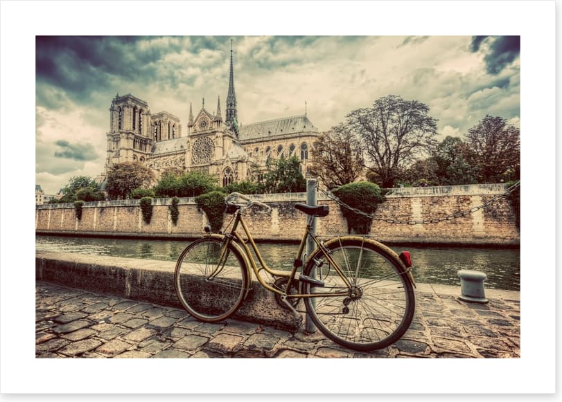 Notre Dame moment - Image 2