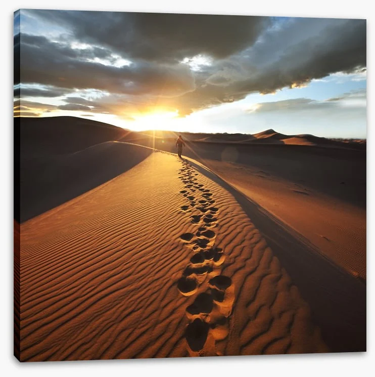 Off the beaten track - Image 2