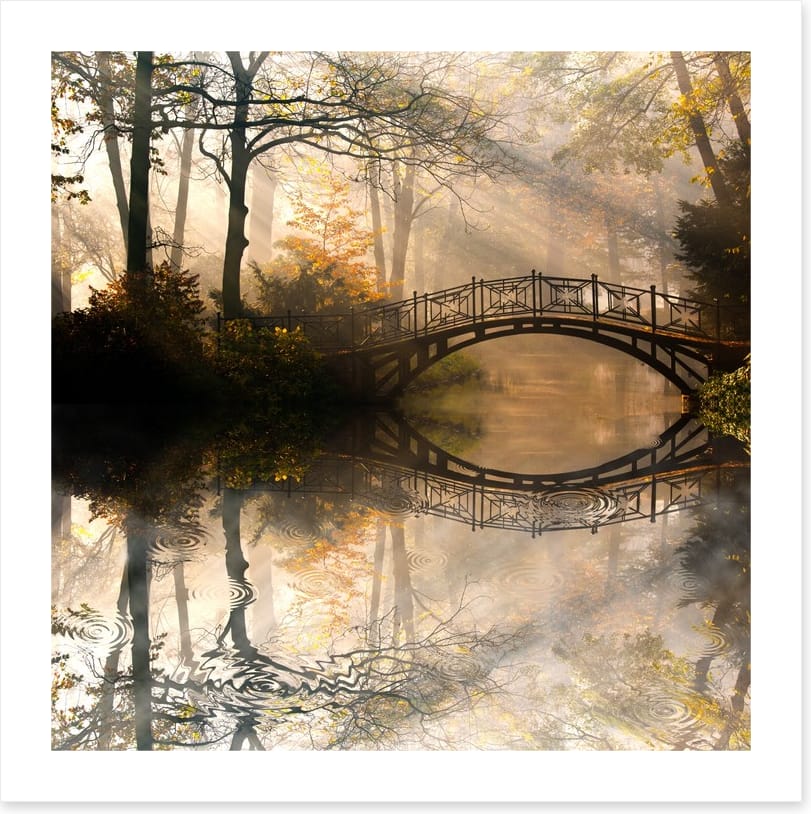 Old bridge in the misty park - Image 2