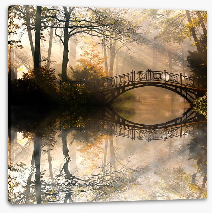 Old bridge in the misty park - Image 2