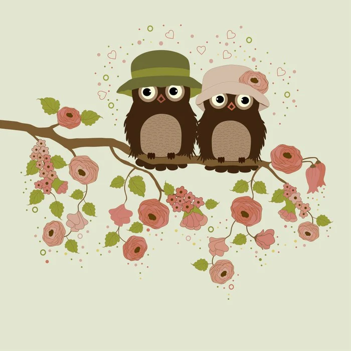 Old owls forever