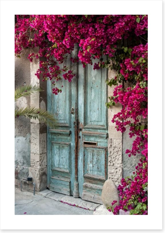 Old wooden door with bougainvillea - Image 2