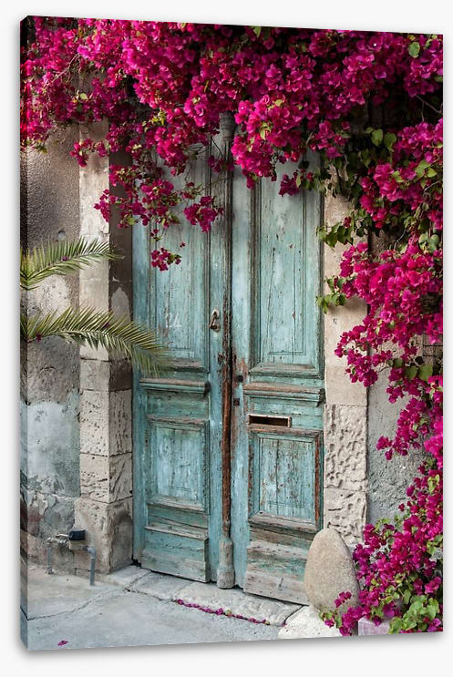 Old wooden door with bougainvillea - Image 2
