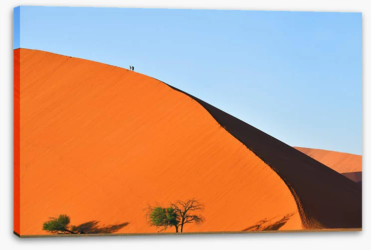 On top of the dune - Image 2