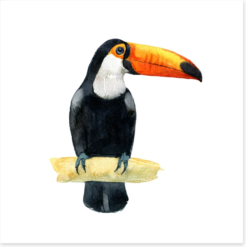 One toucan - Image 2