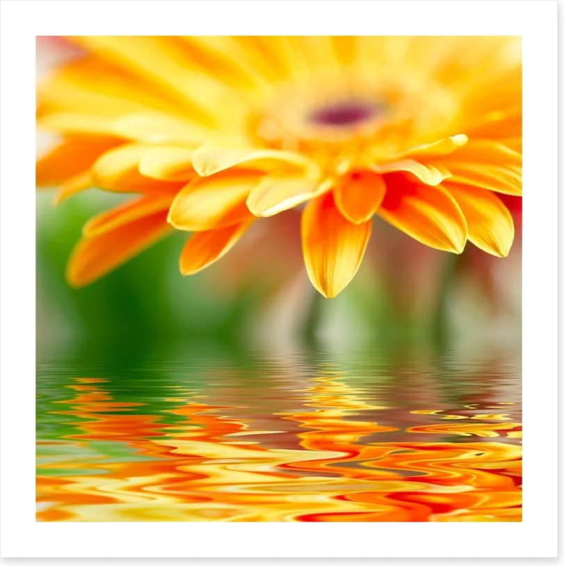 Orange gerbera drops - Image 2