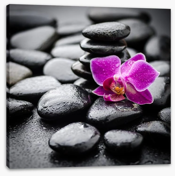Orchid dew - Image 2