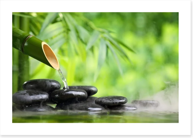 Oriental calm - Image 2