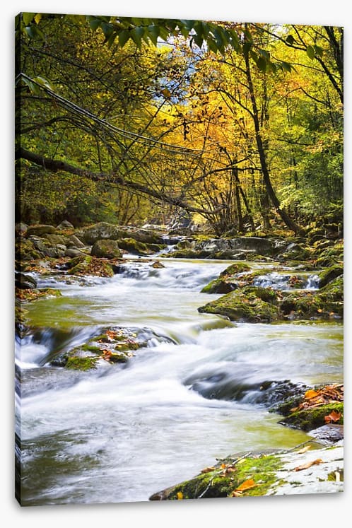 Out of the wilderness - Image 2