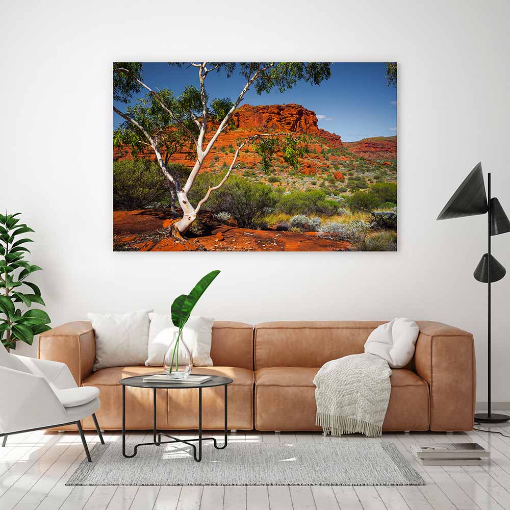 Outback afternoon - Image 3