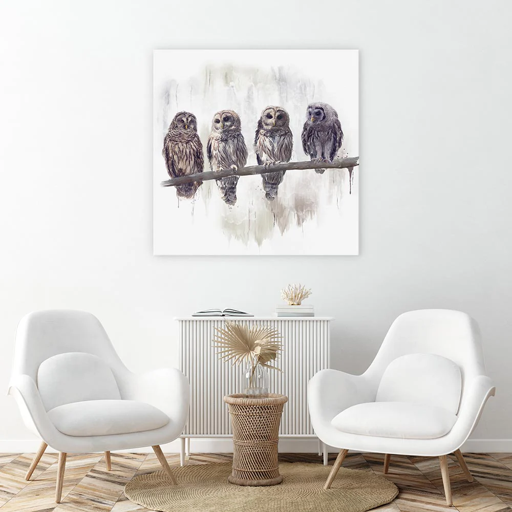 Owl rendez-vous - Image 5