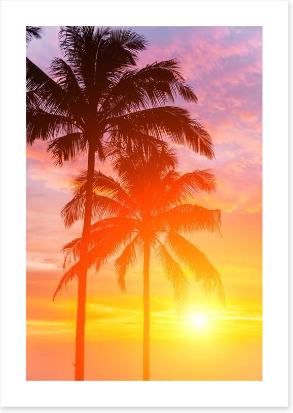 Palm tree sundown - Image 2