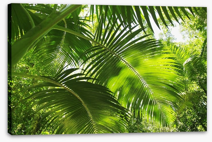 Jungle palms - Image 2
