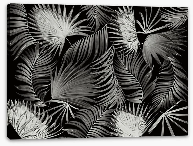 Palms in the dark - Image 2