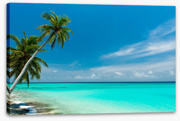 Paradise lagoon - Image 2