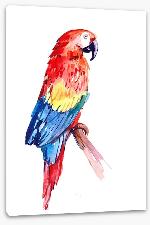 Paradise parrot perch - Image 2