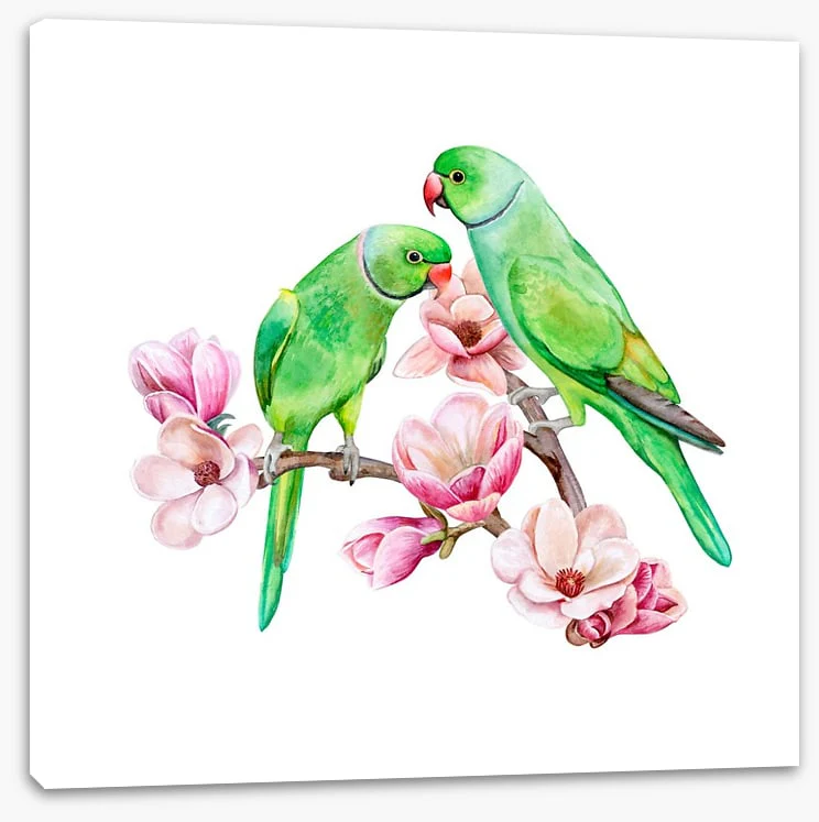 Parakeets in the magnolia - Image 2