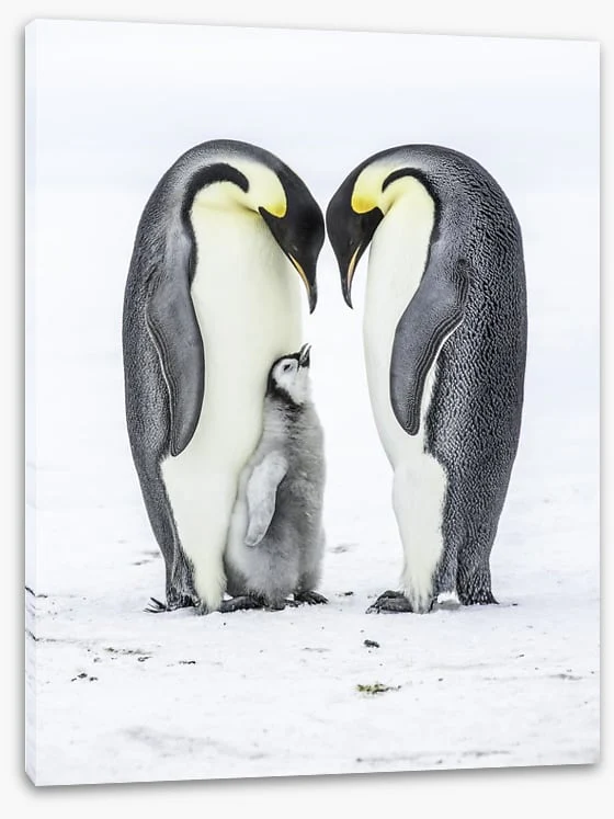 Parental love - Image 2