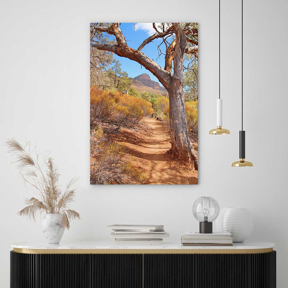 Path to the Flinders Ranges - Image 5