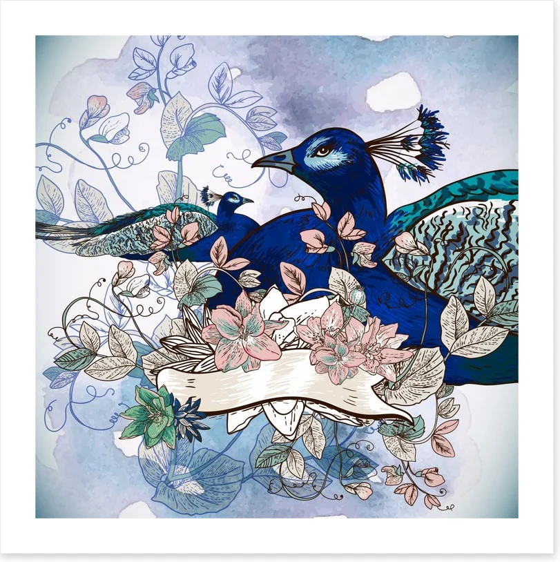 Peacock blooms - Image 2
