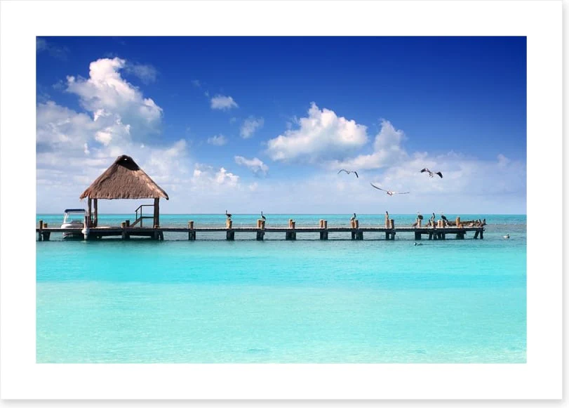 Pelican jetty, Isla Contoy - Image 2
