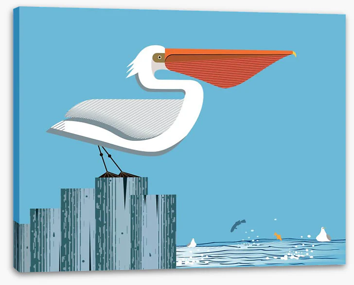 Pelican perch - Image 2