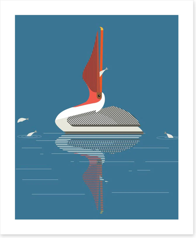 Pelican pleasure - Image 2