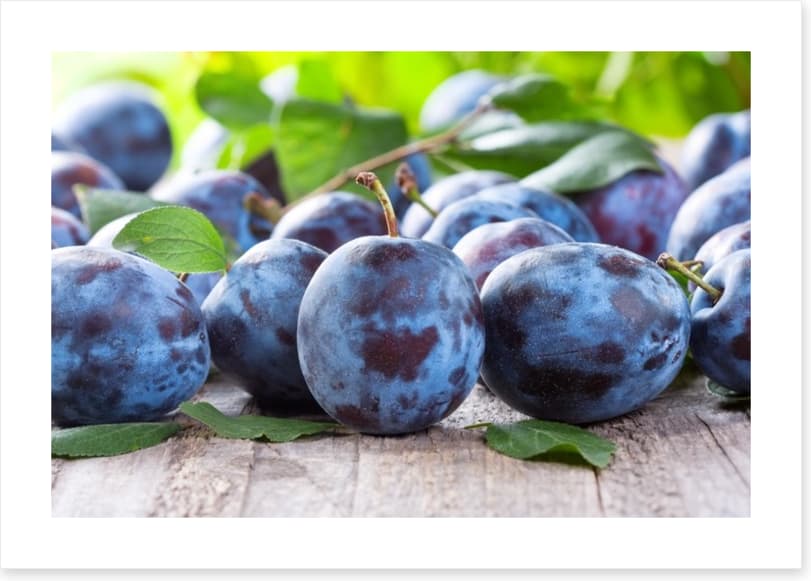 Perfect plums - Image 2