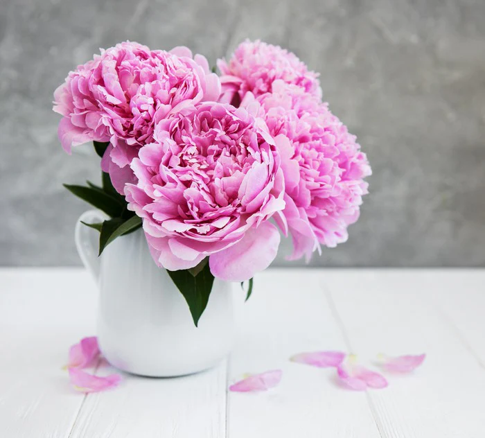 Petal me peony