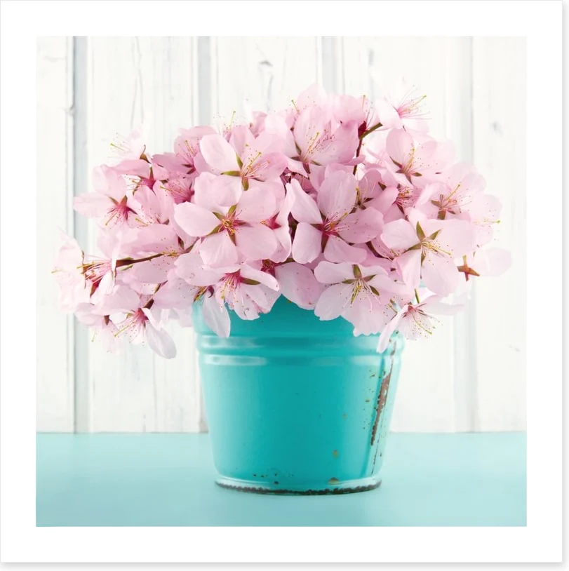 Pink cherry blossom - Image 2