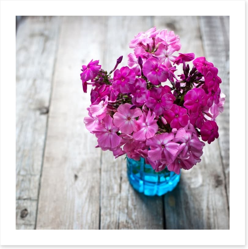 Pink flowers - Image 2