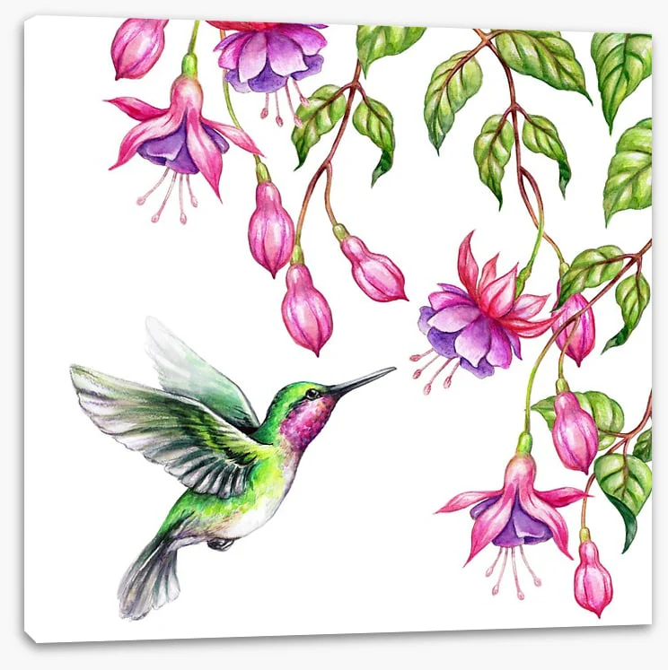 Pink fuchsia hummingbird - Image 2