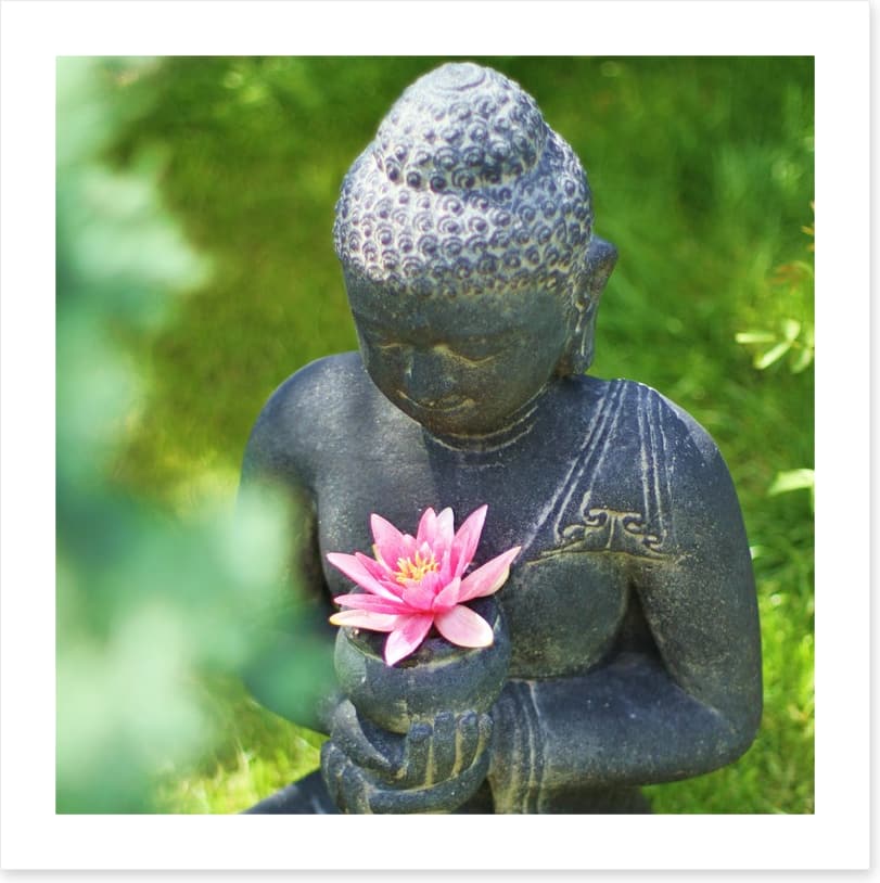 Pink lily buddha - Image 2