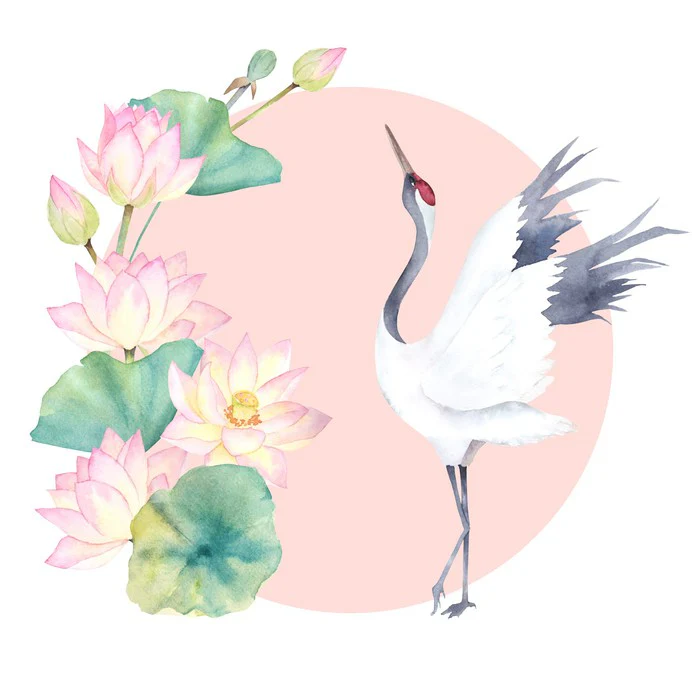 Pink lotus crane
