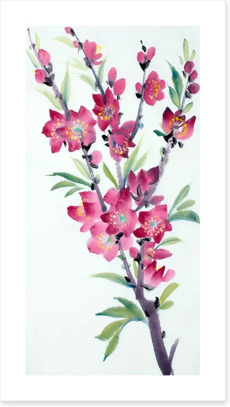 Pink peach blossom - Image 2