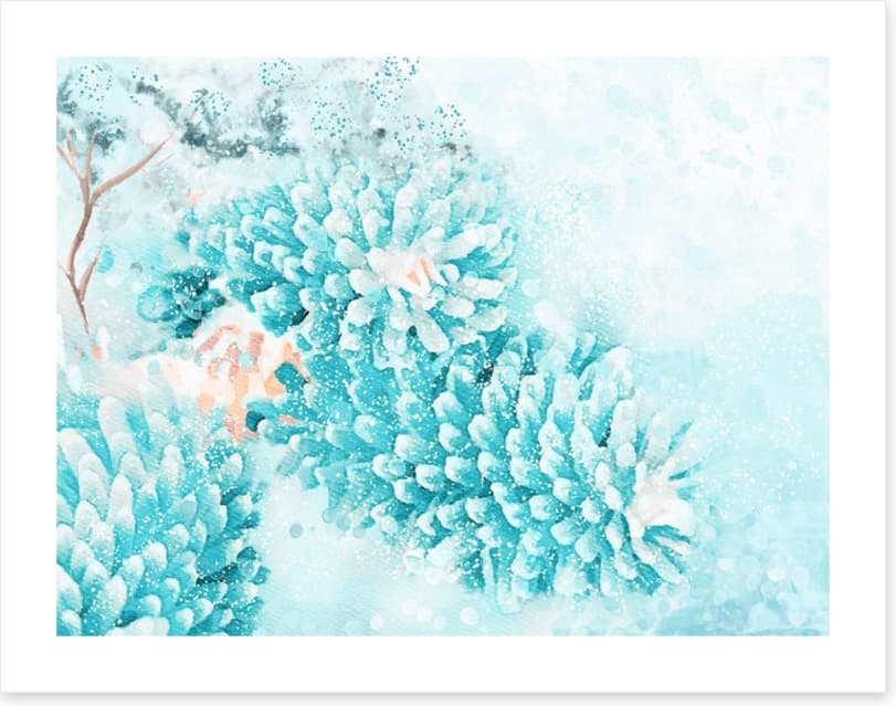 Polar pinecones - Image 2