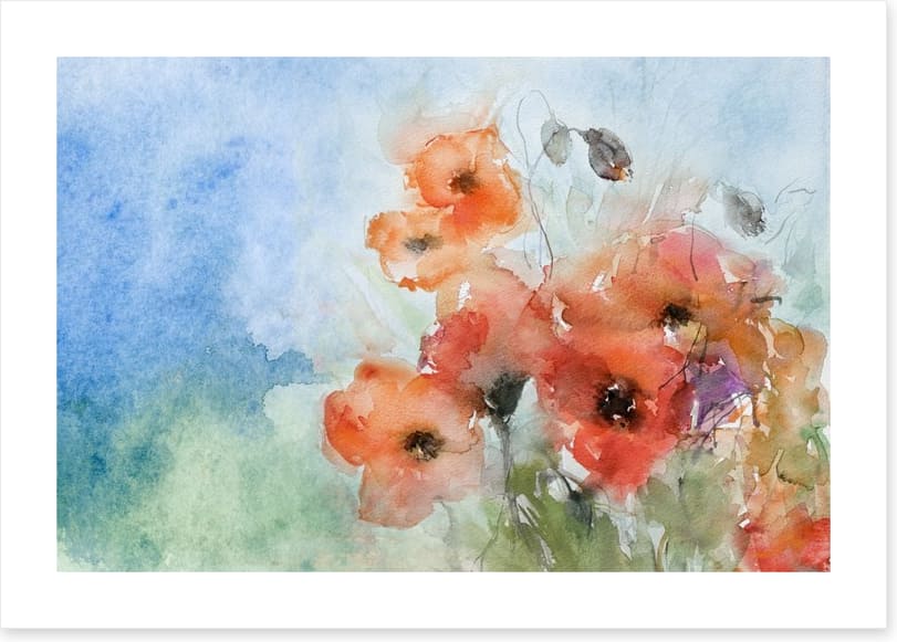 Poppies in the breeze - Image 2