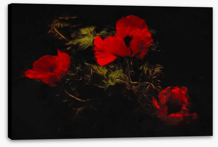 Poppies of the night - Image 2