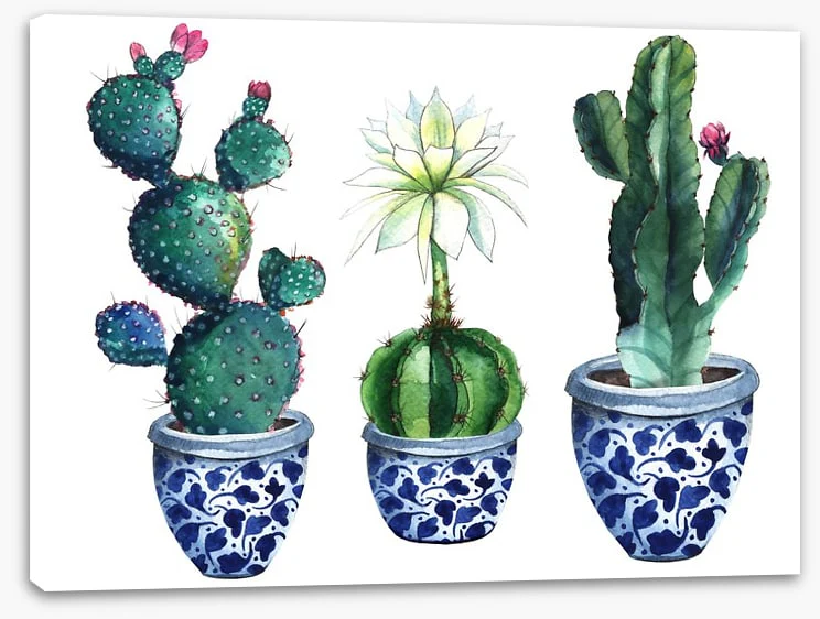 Pots of prickle - Image 2