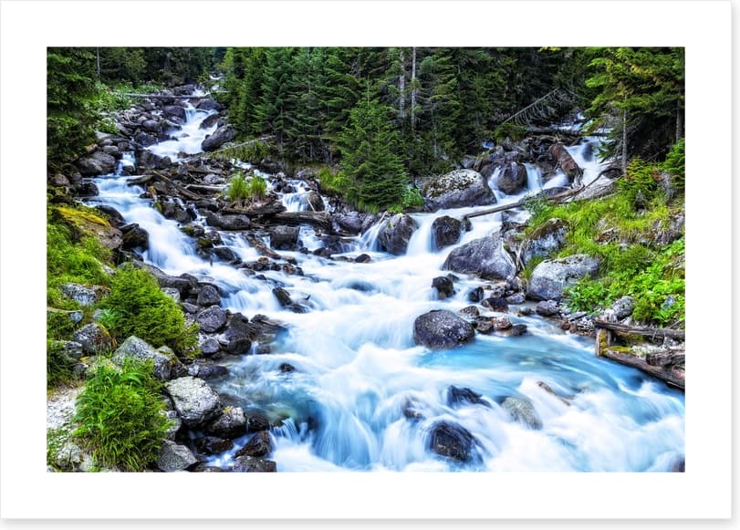Pristine forest river - Image 2