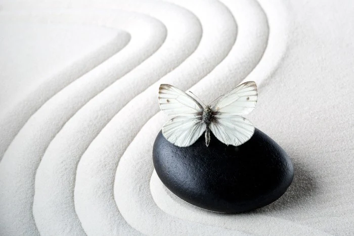Purity