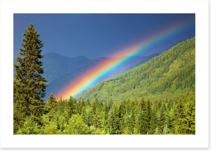 Rainbows - Image 2