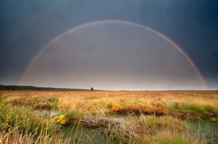Rainbows