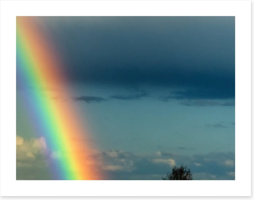 Rainbows - Image 2