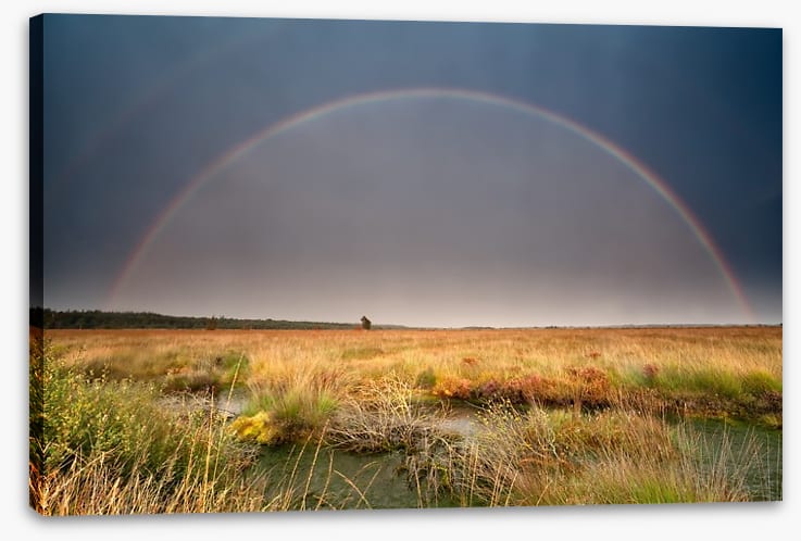 Rainbows - Image 2