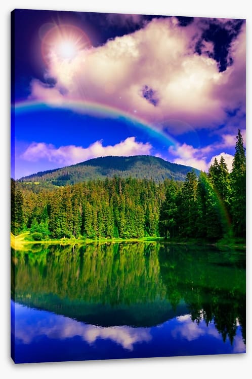 Rainbows - Image 2