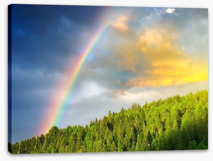 Rainbows - Image 2
